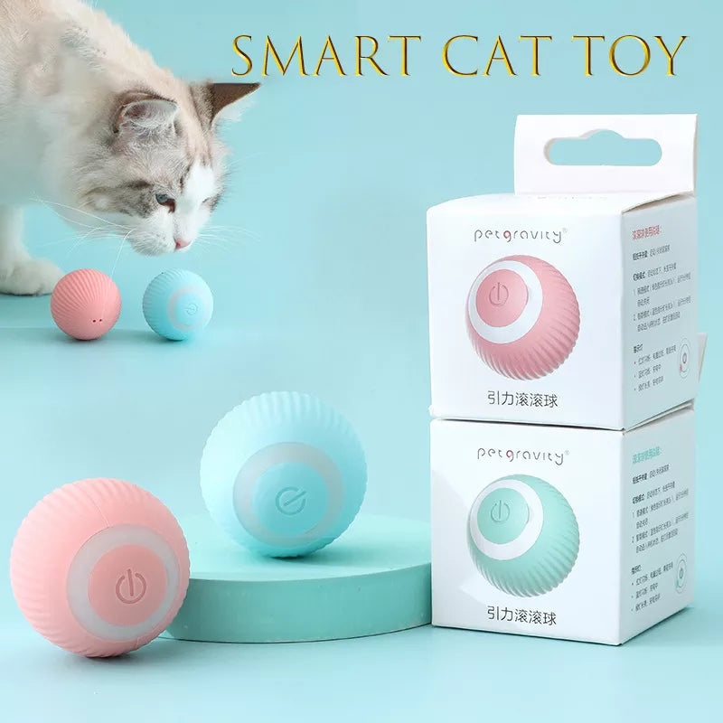 Smart Cat Toys - CentralShoppers