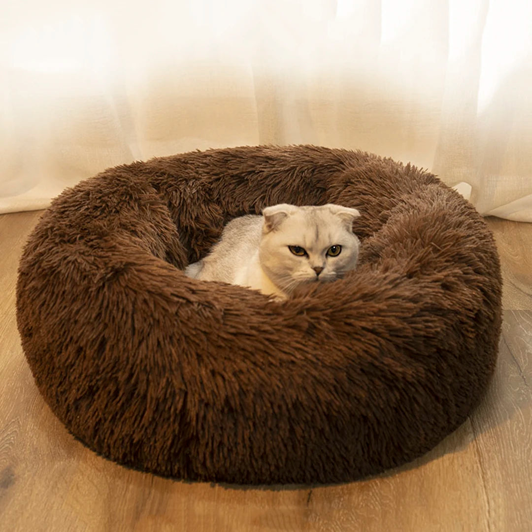 Pet Dog Bed - CentralShoppers